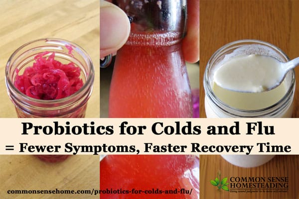 Learn how to use probiotics for colds and flu to boost your immune system. Studies show those who use probiotics get less sick and get better faster.
