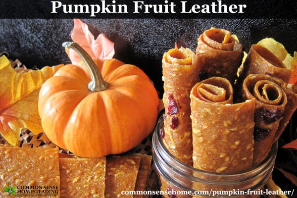 This dried pumpkin fruit leather is an easy to make snack. Nutritious and portable, pumpkin leather doubles as a way to store extra pumpkin.