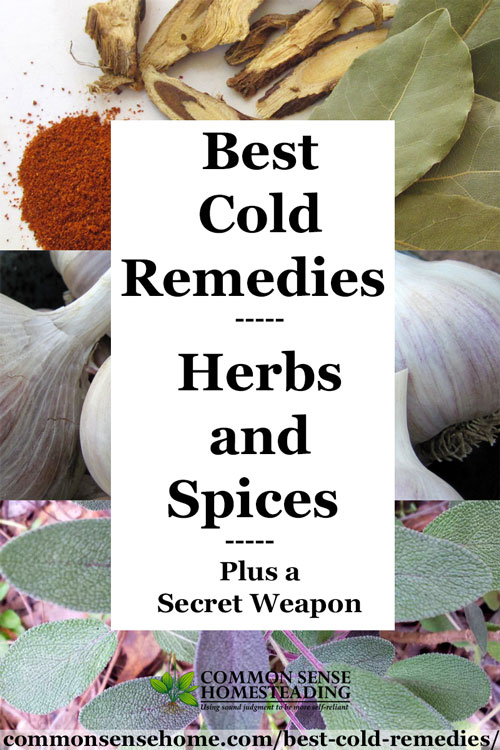 The best cold remedies (and flu remedies) are those you add to your routine before you get sick. Fight germs with herbs, spices and the kitchen sink.