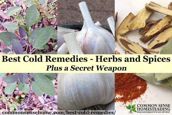 The best cold remedies (and flu remedies) are those you add to your routine before you get sick. Fight germs with herbs, spices and the kitchen sink.