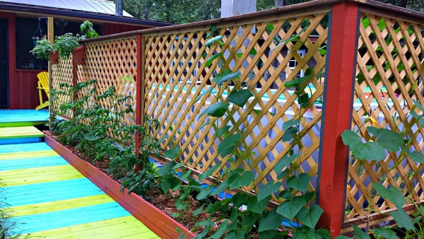 Garden privacy screen uses vertical gardening to shield from nosy neighbors