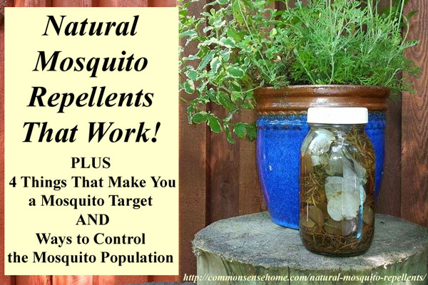 2 Natural Mosquito Repellent Recipes, plus the best herbs for mosquito control, 4 reasons some people get bit more than others and tips to get rid of mosquitoes.