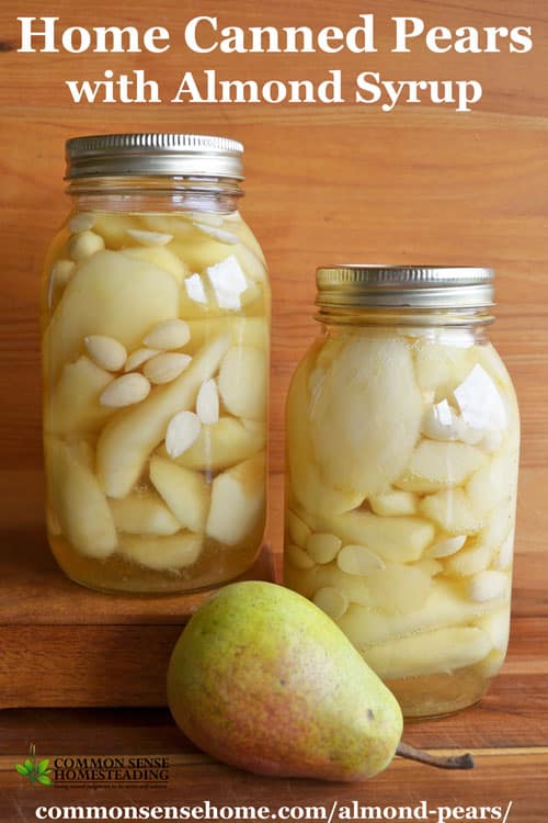 Home Canned Almond Pears - Light almond syrup and blanched almonds pair well with the natural sweetness of perfectly ripe pears.