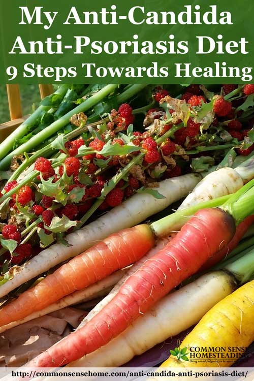 My Anti-Candida, Anti-Psoriasis Diet - 9 Dietary Strategies to Help Reduce Inflammation, Speed Healing and Rebuild Your Microbiome