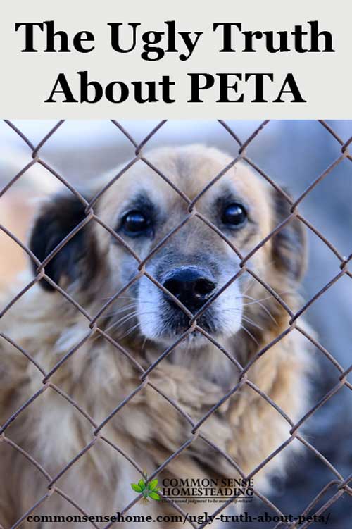 The Ugly Truth About PETA - promoting terror campaigns and killing animals - even going so far as to steal family pets out of people's homes.