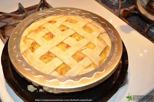 Rhubarb custard pie is a beautiful way to mellow the tartness of rhubarb in a smooth, creamy filling. Recipe features an easy to make 4 ingredient filling.