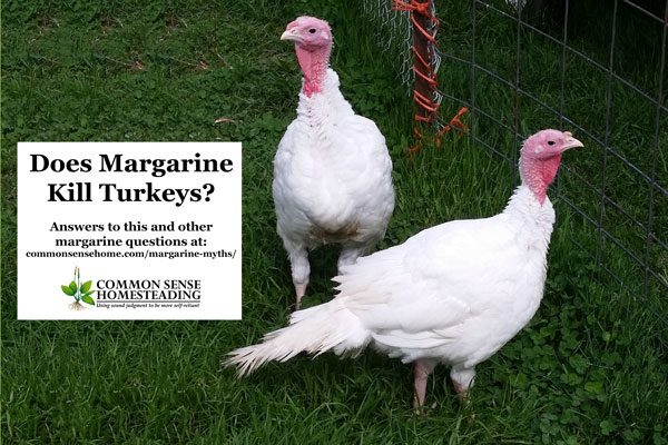Margarine myths or facts? Find out the truth about margarine killing turkeys, being one molecule away from plastic, having added colors and more.