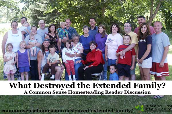 A Common Sense Homesteading reader discussion on the state of the extended family - what caused its breakup, and whether it's time for it to return.