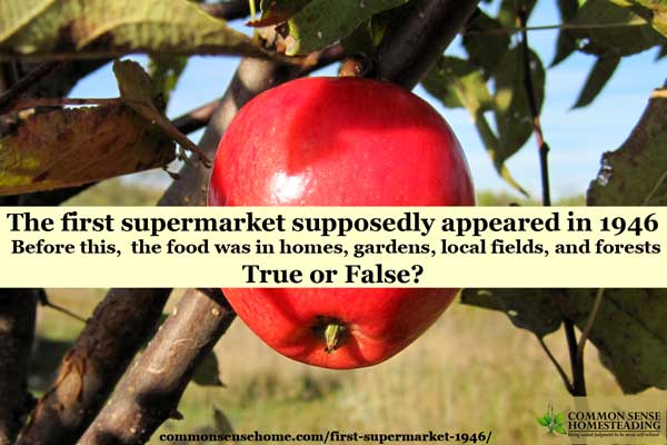 There's a super popular quote from Joel Salatin about the first supermarket that is much beloved by the local food movement - but is it true?