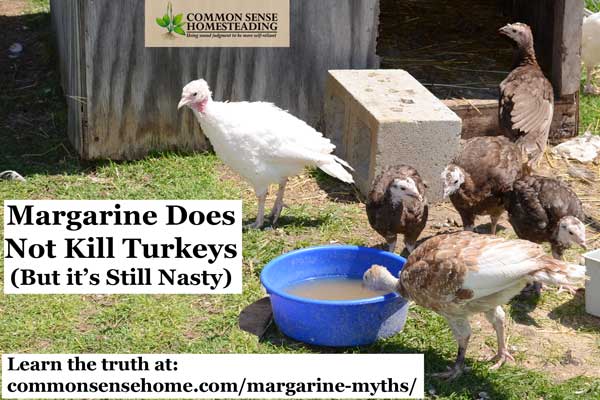 Margarine myths about turkeys and plastic have been spread on the internet that sound awful, but the truth about margarine and transfats is even worse.