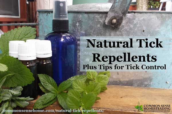 Natural Tick Repellents using herbs and essential oils, the best ways to control ticks and tips to avoid getting bit by ticks.