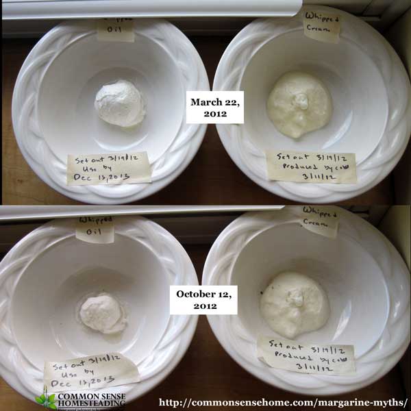 Non-dairy whipped topping versus real whipped cream test.