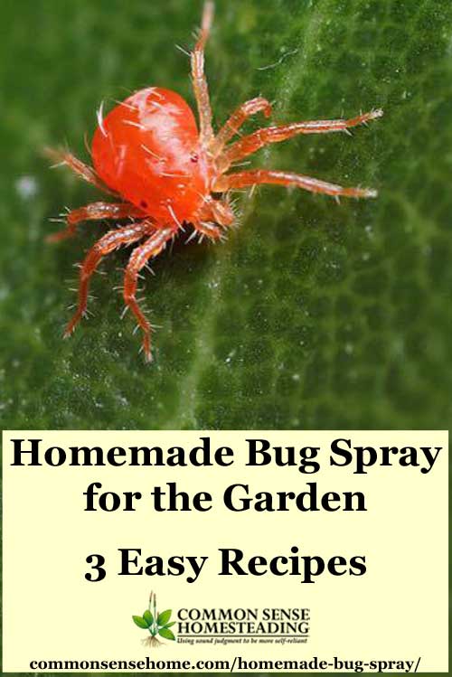 3 Easy homemade bug spray recipes that you can make with ingredients from your garden and pantry. Control bugs without waging heavy duty chemical warfare.