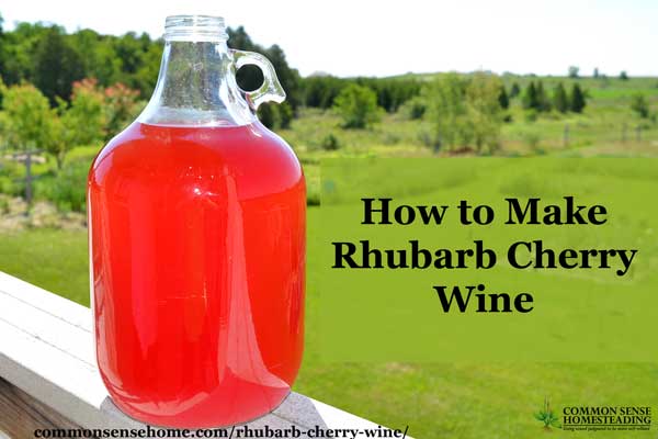 Rhubarb cherry wine is an easy country wine that combines two abundant local fruits - rhubarb and tart cherries - into a bright and fruity homemade wine.