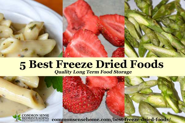 The best freeze dried foods, from family meals to single serving pouches; meats, vegetables and fruits - these brands are the ones you want in your pantry.