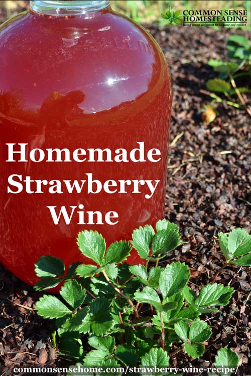 Add a little kick to your strawberry season! This homemade strawberry wine recipe comes together in minutes and is ready to enjoy in just a few months. 