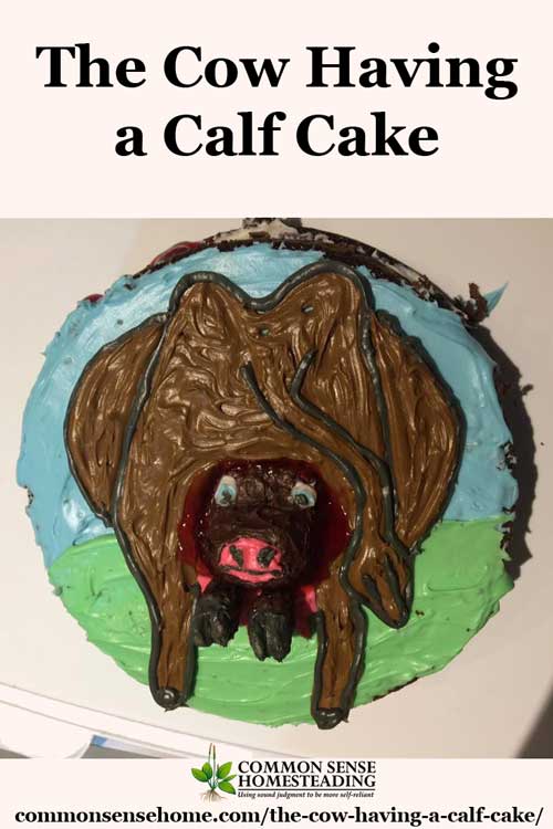The cow having a calf cake is a sweet reminder of just how creative moms can be to make their children's birthdays special.