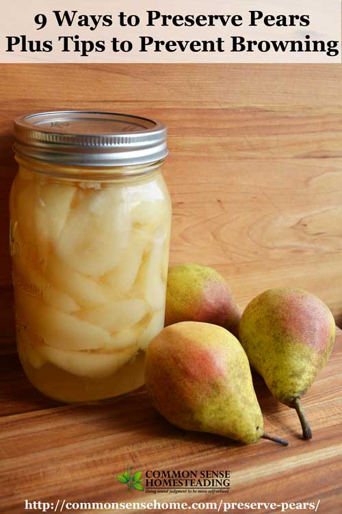 How to Preserve pears using canning, freezing, drying, freeze drying or fermenting. Their natural sweetness makes them a delicious snack or dessert.