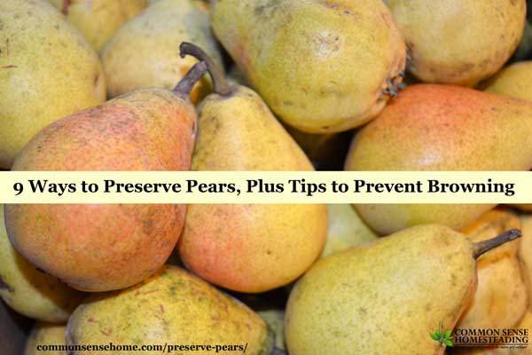 How to Preserve pears using canning, freezing, drying, freeze drying or fermenting. Their natural sweetness makes them a delicious snack or dessert.