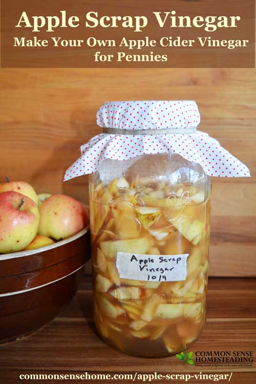 Don't throw away those peels and cores! Make your own homemade apple cider vinegar for just pennies per gallon with this easy apple scrap vinegar.