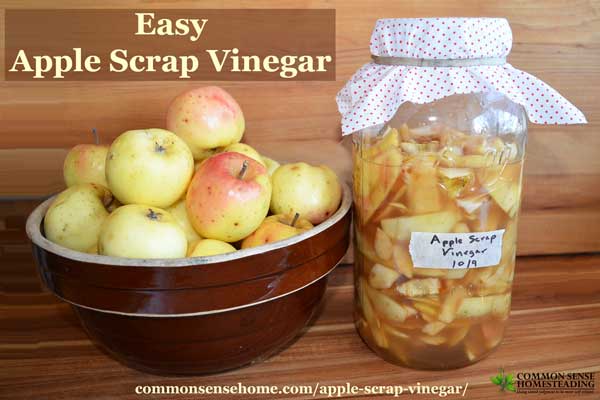 Don't throw away those peels and cores! Make your own homemade apple cider vinegar for just pennies per gallon with this easy apple scrap vinegar.