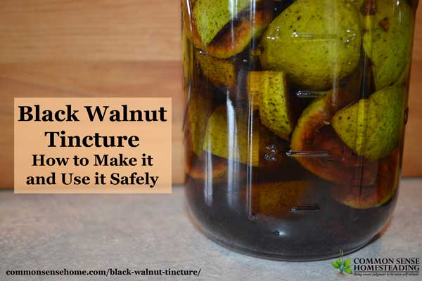 How to make and use black walnut tincture internally and externally. Anti-fungal, anti-helminthic (parasite killing), anti-viral and anti-bacterial.