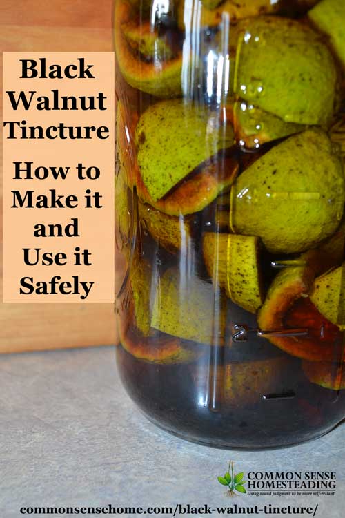 How to make and use black walnut tincture internally and externally. Anti-fungal, anti-helminthic (parasite killing), anti-viral and anti-bacterial.