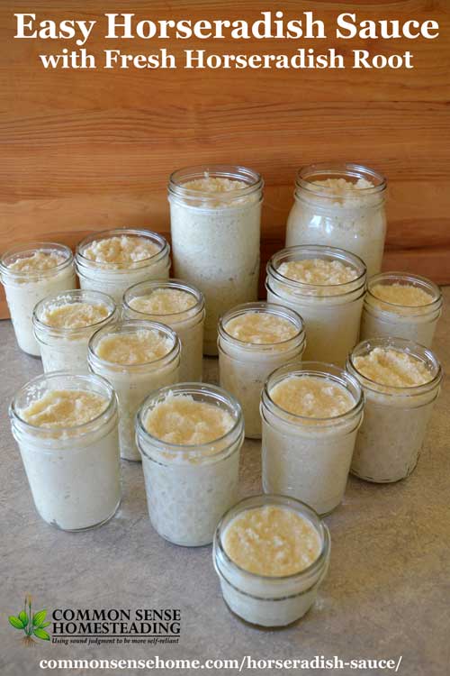 Simple recipes for homemade horseradish sauce - plain or cream style - made with fresh horseradish root and other quality ingredients.