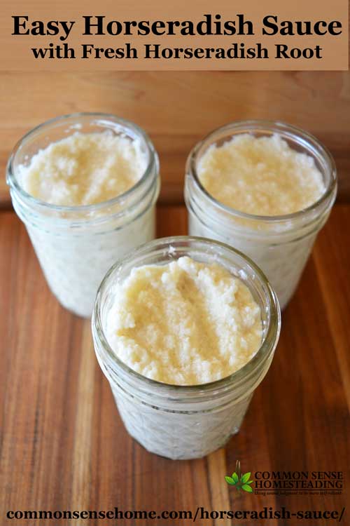 Simple recipes for homemade horseradish sauce - plain or cream style - made with fresh horseradish root and other quality ingredients.