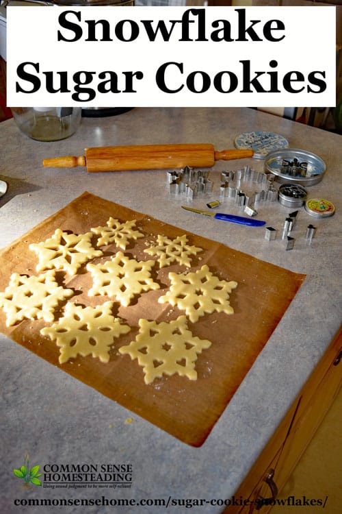This easy to make sugar cookie recipe requires no chilling, so it takes just minutes to get from bowl to oven. Learn the "trick" for successful snowflakes.