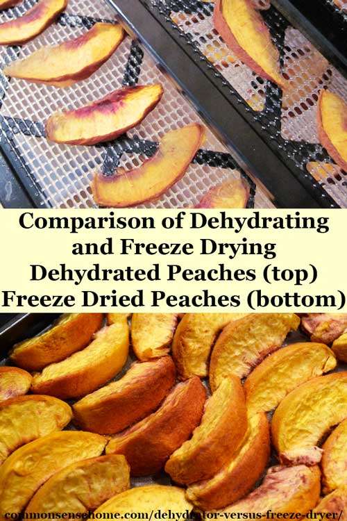 Dehydrator Versus Freeze Dryer - They perform similar functions - food is dried for storage - how they do it and the resulting product is quite different.