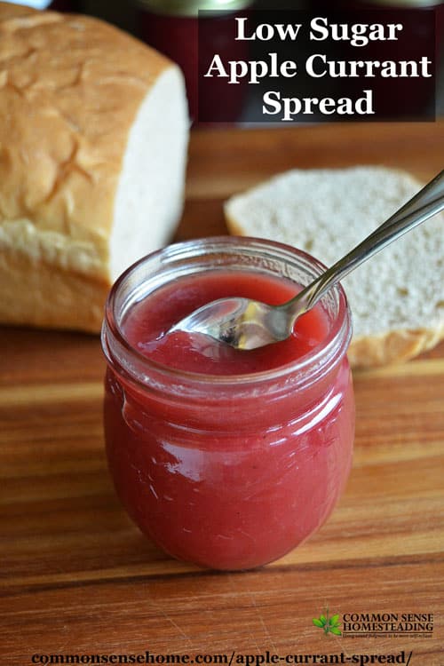 This low sugar apple currant spread with a touch of cinnamon is a less sweet alternative to traditional currant jams and jellies.
