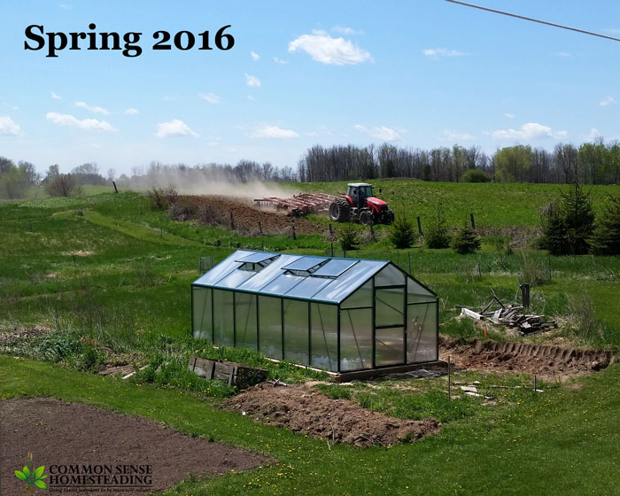 Our Homestead - Then and Now - How Things Have Changed - The Outbuildings