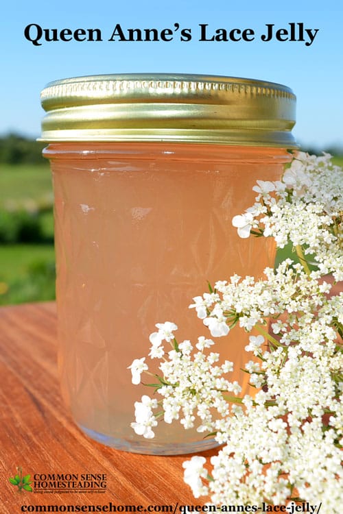 Queen Anne's lace jelly is delicate and floral with a hint of peach flavor.