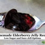 Two homemade elderberry jelly recipes - low sugar elderberry jelly thickened with Pomona's Pectin, and old fashioned elderberry jelly with Sure-Jell.