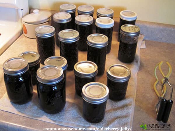 Two homemade elderberry jelly recipes - low sugar elderberry jelly thickened with Pomona's Pectin, and old fashioned elderberry jelly with Sure-Jell.
