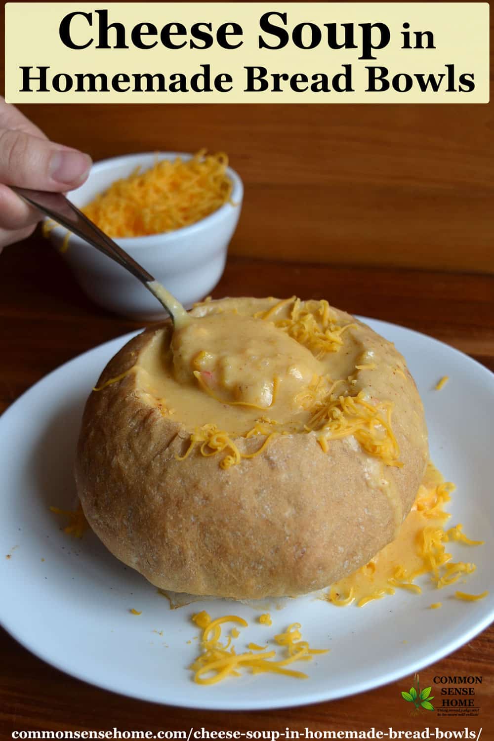 cheese soup in a bread bowl