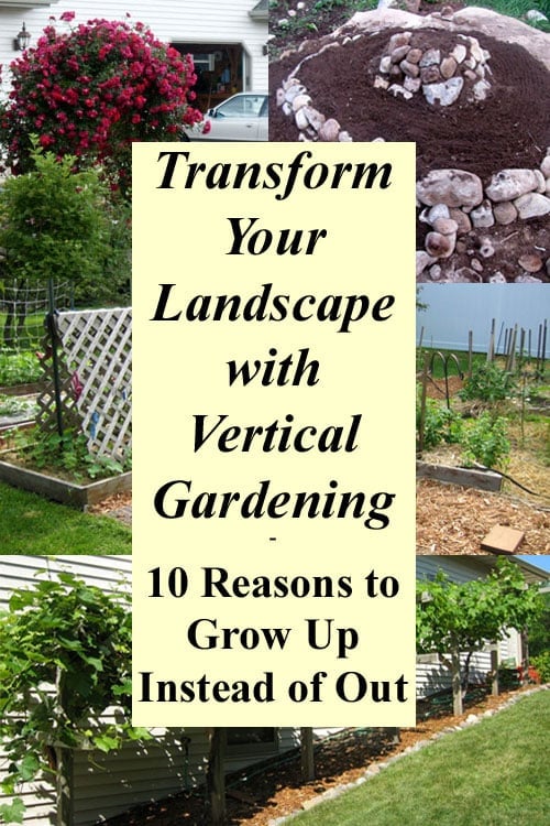 Growing Up-Vertical Gardening Landscape-ideas