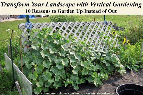 landscape vertical gardenin
