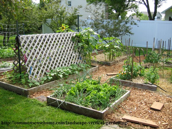 Transform Your Landscape with Vertical Gardening - Grow More Food in ...