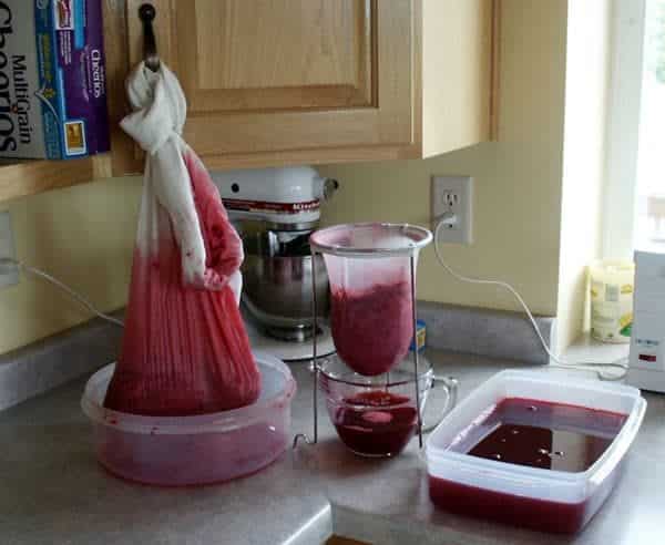 draining red currant juice to make currant jelly - cloth filled with currants on left, jelly strainer in center, currant juice on right