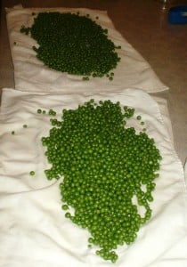 peas on towels