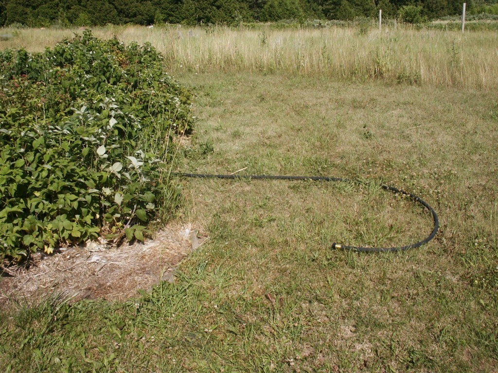 Time to Get Soaked Using Soaker Hose in the Garden
