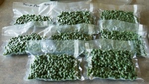 vacuum sealed peas