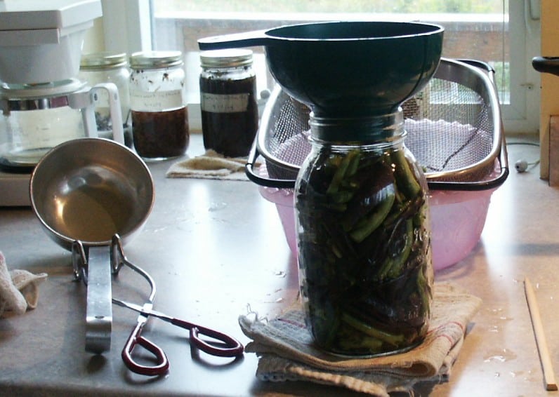 canning beans