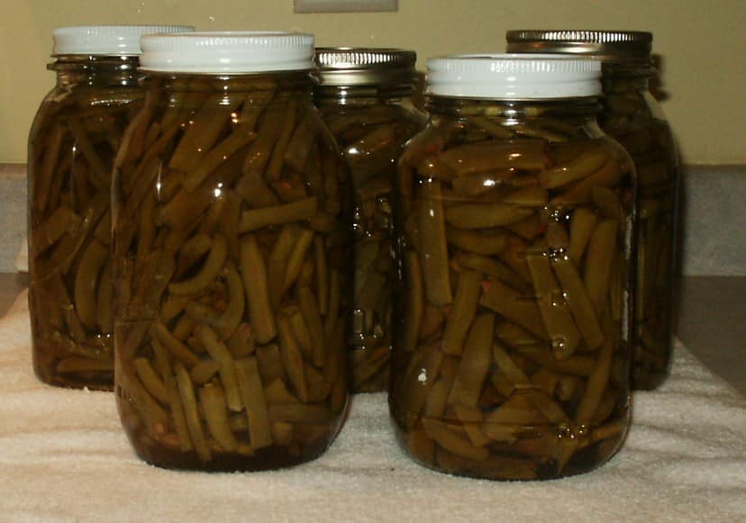 canned beans