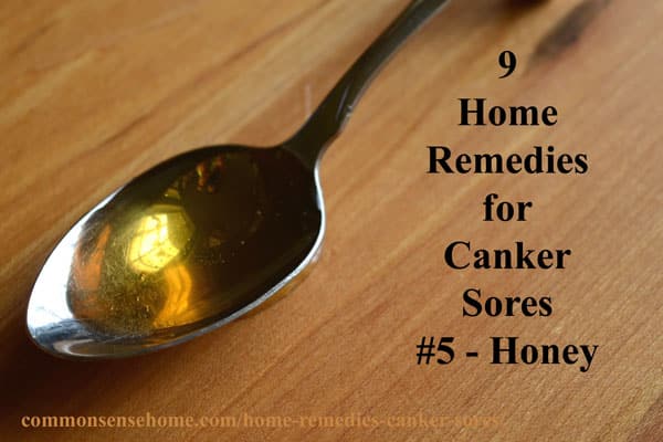 9 Home Remedies For Canker Sores Tips To Avoid Canker Sore Triggers