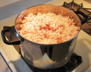 beef tallow in pot