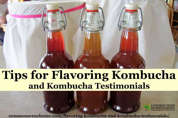 Tips for flavoring kombucha with a variety of fruit and fruit juices, plus testimonials from people who used kombucha to improve their health.