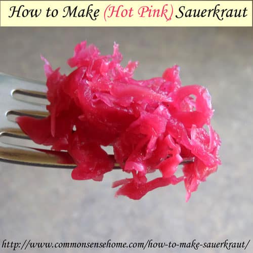How to Make Sauerkraut - Naturally fermented and filled with probiotics, sauerkraut is a time honored way to add color and flavor to your meals.